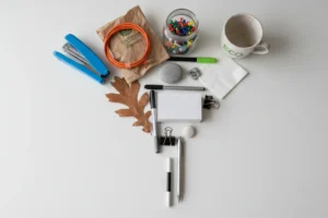 EcoHarvest Organics: Brand Consistency Fails in 2025